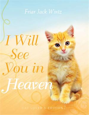 book i will see you in heaven